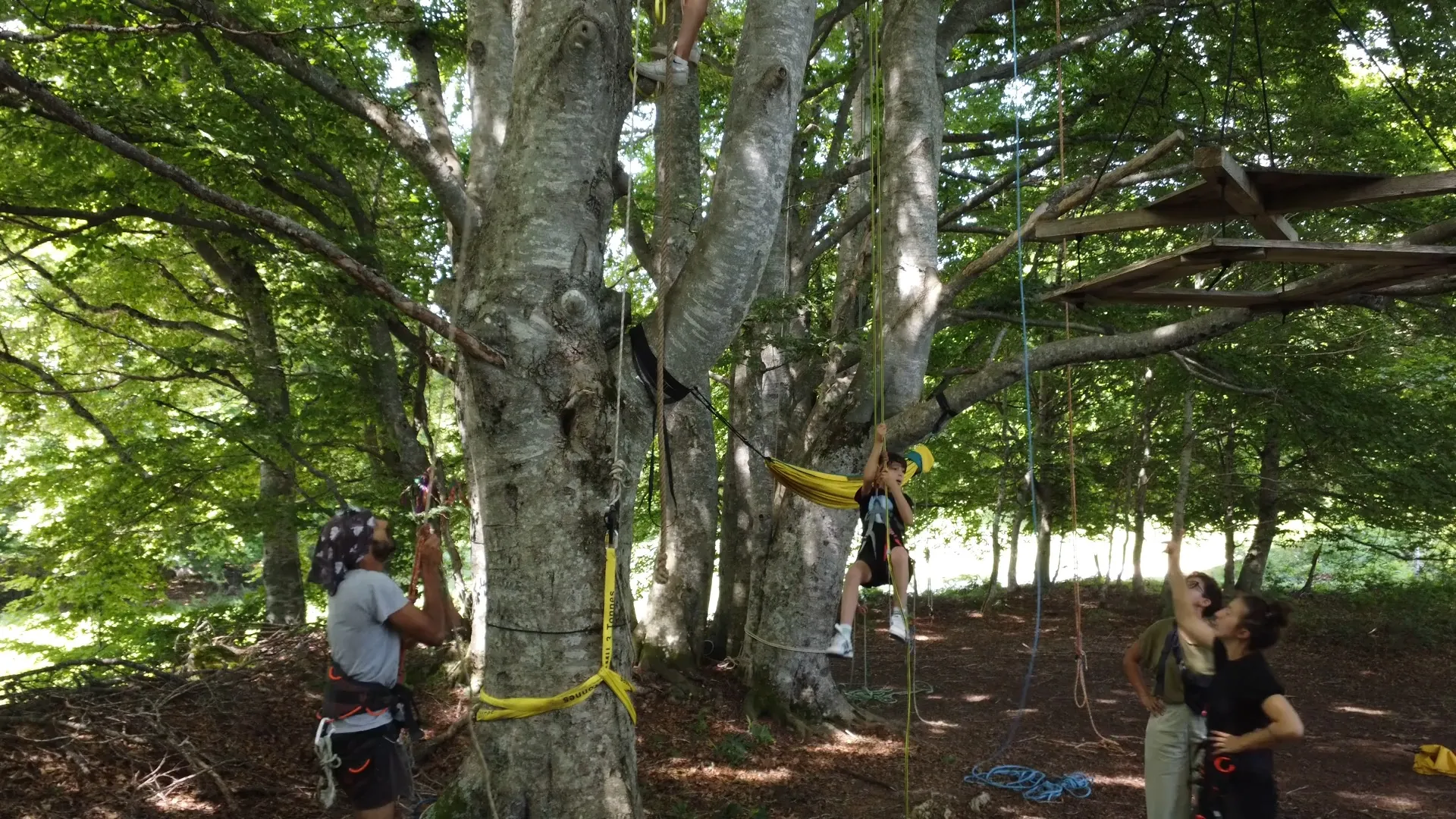 L'équipe Alabordarbre s'assure que le lieu est sécurisé et accompagne les grimpeurs encordés